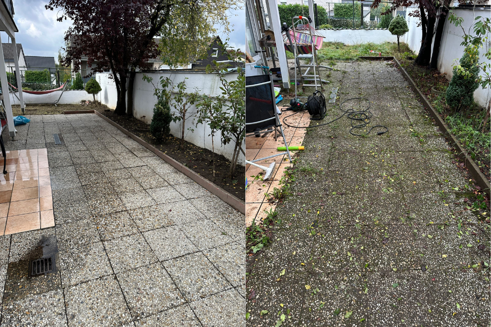 Gartensteine nach professioneller Stein- und Pflasterreinigung durch Voll Sauber